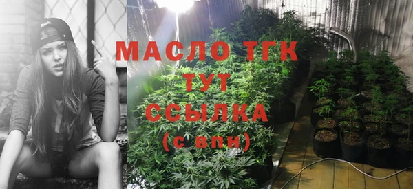 ALPHA PVP Осинники