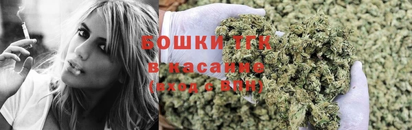 ALPHA PVP Осинники