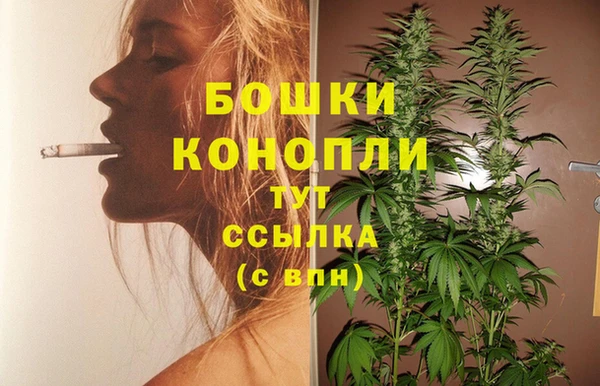 МДПВ Осташков